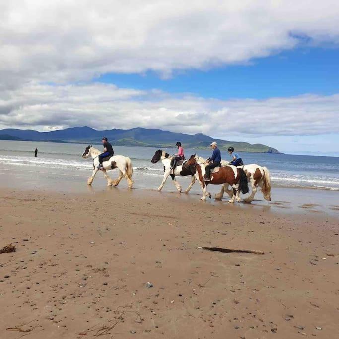Castlegregory-Seaside 2 Bedroomed Cottage Exteriör bild