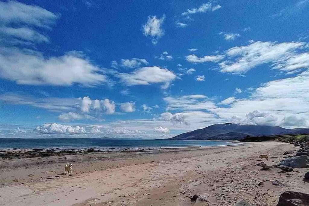 Castlegregory-Seaside 2 Bedroomed Cottage Exteriör bild